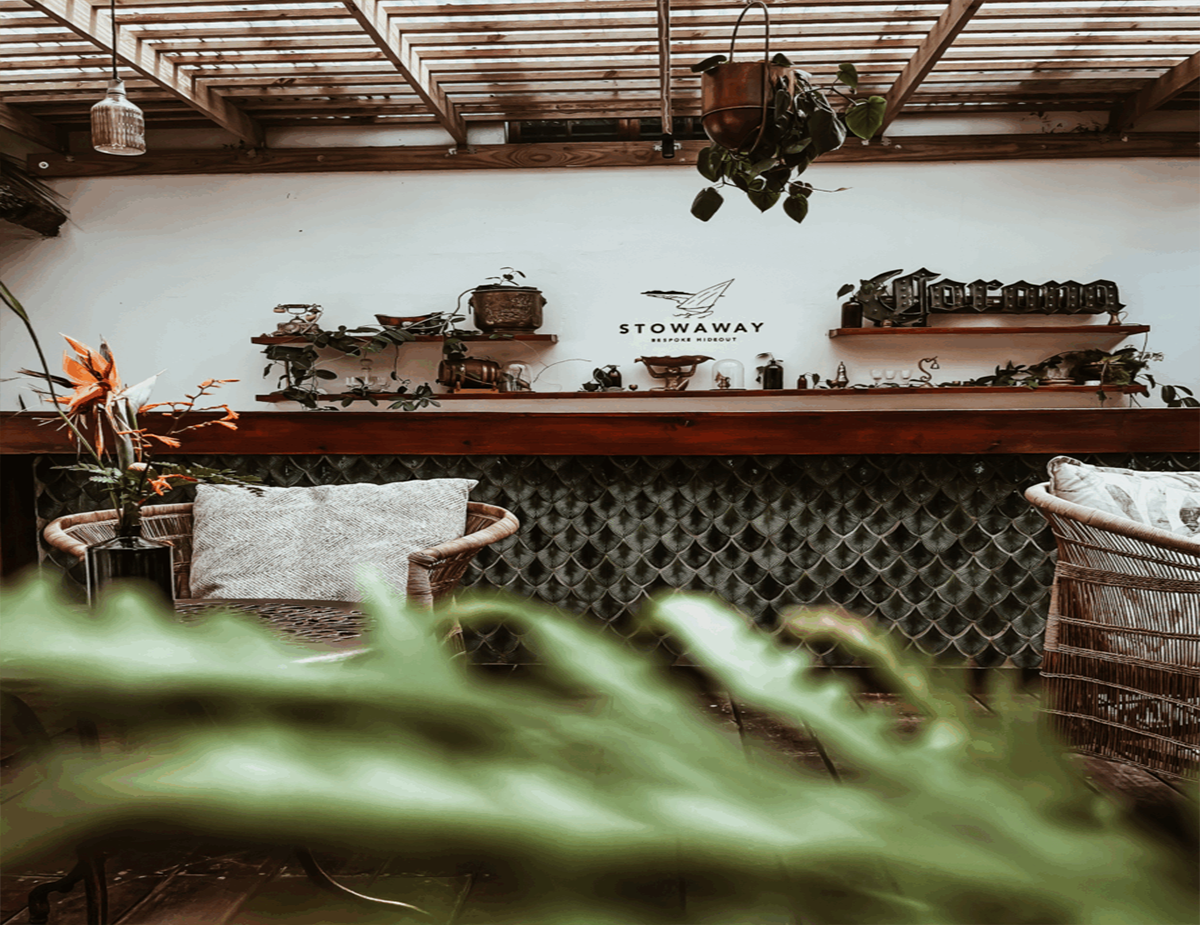 Quisque id maximus leo